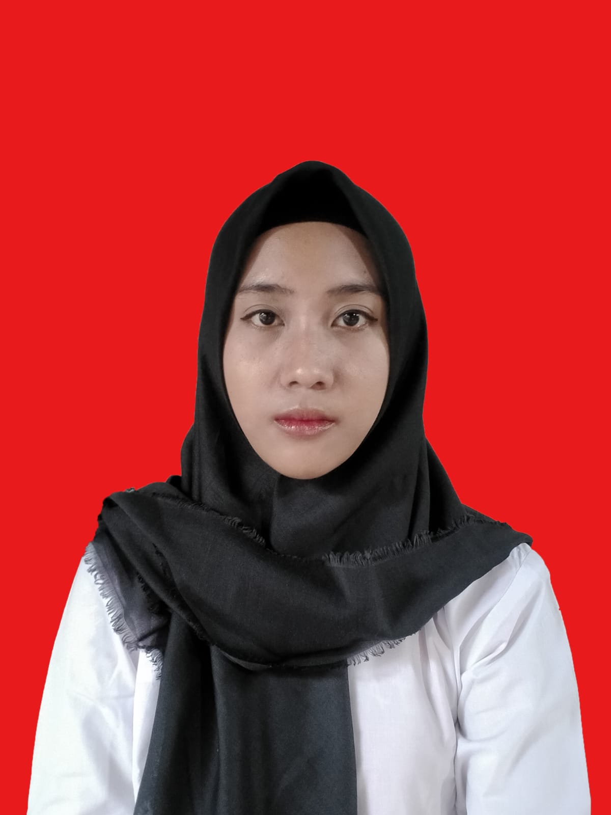 Anggota